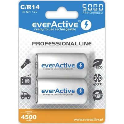 Batteria Everactive EVHRL14-5000 1,2V 5000mAh - Ricaricabile NiMH Batteria Everactive EVHRL14-5000 1,2V 5000mAh - Ricaricabile NiMH
