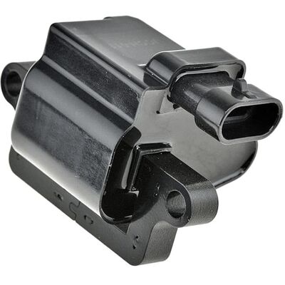 Borgwarner ECZ-CH-011 Zündspule - Zündspule für Cadillac, Chevrolet, Hummer Borgwarner ECZ-CH-011 Zündspule - Zündspule für Cadillac, Chevrolet, Hummer