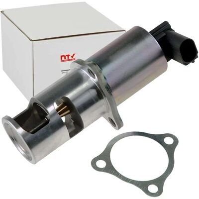 NTY Valvola EGR Nissan Opel Renault Mitsubishi - EGR Valve NTY Valvola EGR Nissan Opel Renault Mitsubishi - EGR Valve