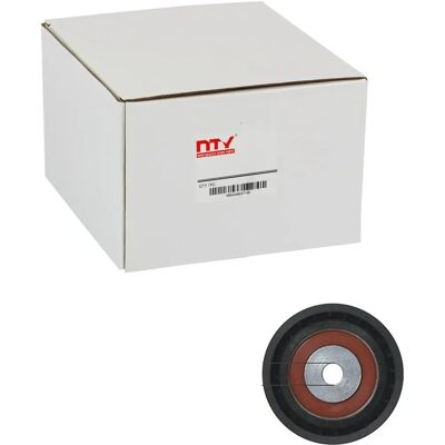 Puleggia di guida NTY RNKRE007 per Renault Clio Kangoo - Puleggia di guida Puleggia di guida NTY RNKRE007 per Renault Clio Kangoo - Puleggia di guida