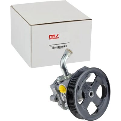 NTY SPW-SU-009 Power Steering Pump - Hydraulic, 6 Ribbed Belts NTY SPW-SU-009 Power Steering Pump - Hydraulic, 6 Ribbed Belts