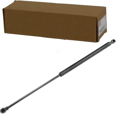 NTY Arc cu Gaz - 525mm, 140N, 210mm Curs - Gas Spring NTY Arc cu Gaz - 525mm, 140N, 210mm Curs - Gas Spring