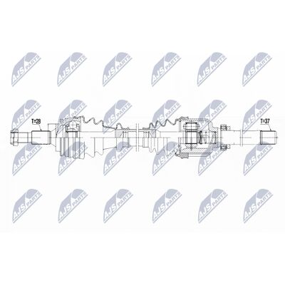 NTY NPW-CT-097 - Antriebswelle für Citroën C4 NTY NPW-CT-097 - Antriebswelle für Citroën C4