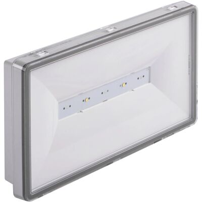 TM TECHNOLOGIE 2h Notlicht IP65 Kaltweiß - Notbeleuchtung TM TECHNOLOGIE 2h Notlicht IP65 Kaltweiß - Notbeleuchtung