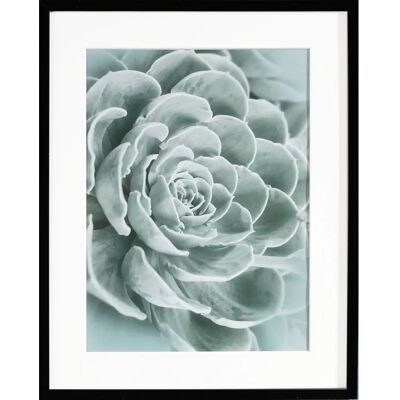 Dekoria - Succulents I - Grün - 40×50 cm - Wandbild Dekoria - Succulents I - Grün - 40×50 cm - Wandbild