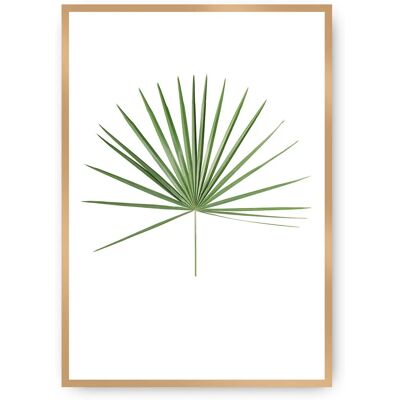 Dekoria Modell: Tropical Leaf Green - Palmblatt Poster Dekoria Modell: Tropical Leaf Green - Palmblatt Poster