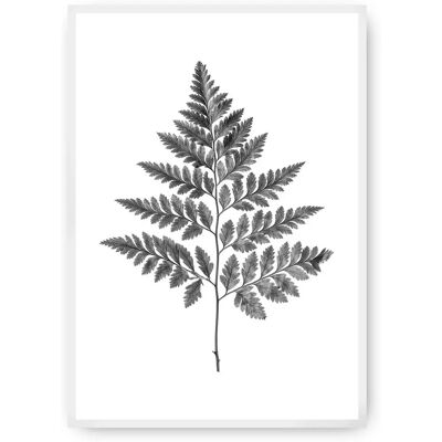 Dekoria Fern Grey - 40x50 cm - Plakat z motywem liścia Dekoria Fern Grey - 40x50 cm - Plakat z motywem liścia