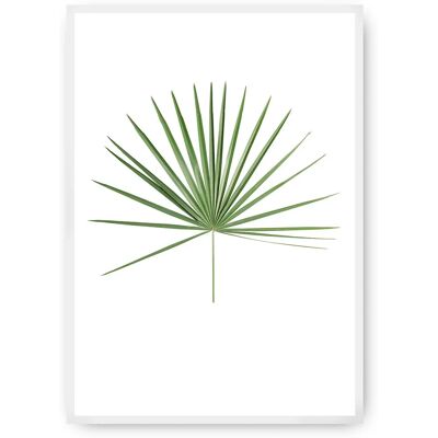 Dekoria Tropikalny Liść Zielony - Plakat na Ścianę 40x50 cm Dekoria Tropikalny Liść Zielony - Plakat na Ścianę 40x50 cm
