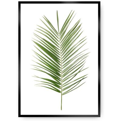Dekoria Palm Leaf Green 50x70 - Poster Dekoria Palm Leaf Green 50x70 - Poster