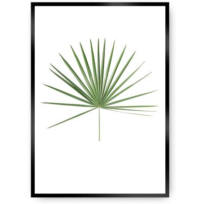 Dekoria Tropikalna Liść Zielona - Plakat 50 x 70 cm Dekoria Tropikalna Liść Zielona - Plakat 50 x 70 cm