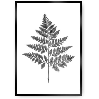 Dekoria Paproć Szara - 70x100cm - Sztuka ścienna Dekoria Paproć Szara - 70x100cm - Sztuka ścienna