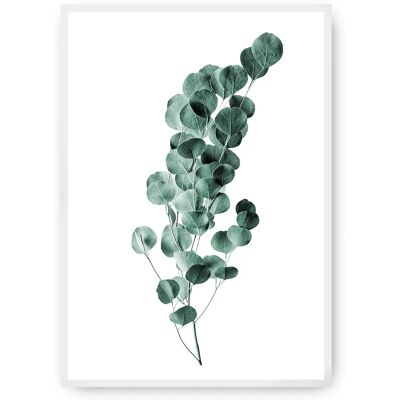 Dekoria Eukaliptus Szmaragdowa Zielen Ścienna Dekoracja 70x100cm Dekoria Eukaliptus Szmaragdowa Zielen Ścienna Dekoracja 70x100cm
