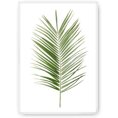 Dekoria Zielony Liść Palmy - 70x100cm - Sztuka na Ścianę Dekoria Zielony Liść Palmy - 70x100cm - Sztuka na Ścianę