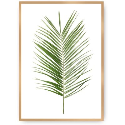 Dekoria Zielony Liść Palmy - 50x70cm - Plakat na Ścianę Dekoria Zielony Liść Palmy - 50x70cm - Plakat na Ścianę