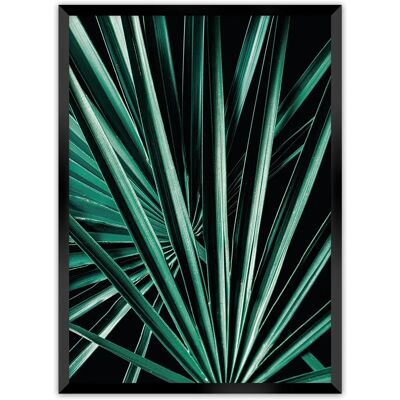 Dekoria - Dark Palm Tree - Czarny - Zielony - Plakat Dekoria - Dark Palm Tree - Czarny - Zielony - Plakat