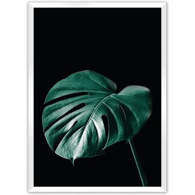 Dekoria - Dark Monstera - schwarz, grün - 40 x 50 cm - Poster Dekoria - Dark Monstera - schwarz, grün - 40 x 50 cm - Poster