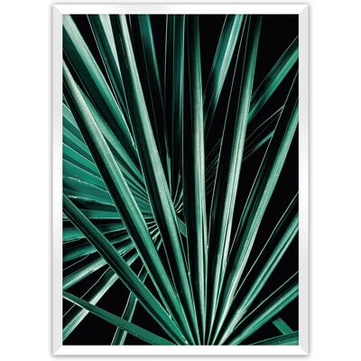 Dekoria - Dark Palm Tree - Czarny - Zielony - Plakat Dekoria - Dark Palm Tree - Czarny - Zielony - Plakat