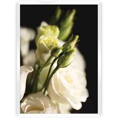 Dekoria - Dark Flowers I - Biały - 70 x 100 cm - Poster Dekoria - Dark Flowers I - Biały - 70 x 100 cm - Poster