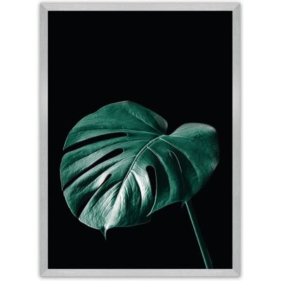 Dekoria - Dark Monstera - Schwarz - Grün - Poster Dekoria - Dark Monstera - Schwarz - Grün - Poster