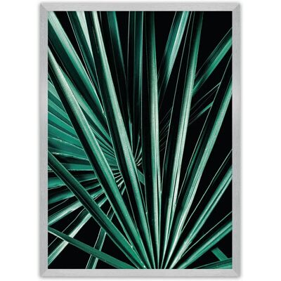 Dekoria - Dark Palm Tree - Czarny - Zielony - Plakat Dekoria - Dark Palm Tree - Czarny - Zielony - Plakat