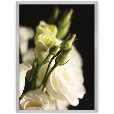 Dekoria - Dark Flowers I - 70 x 100 cm - Plakat Dekoria - Dark Flowers I - 70 x 100 cm - Plakat
