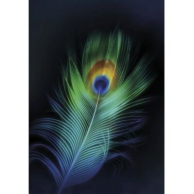 Dekoria Pfauenauge Leinwandbild - Mehrfarbig - 35 x 50 cm Dekoria Pfauenauge Leinwandbild - Mehrfarbig - 35 x 50 cm