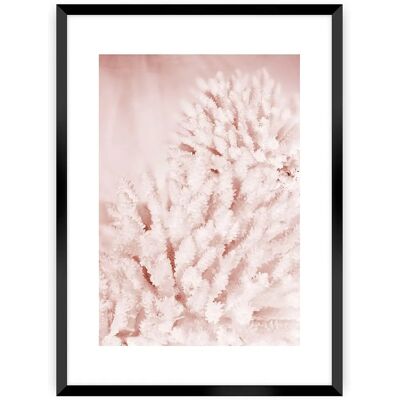 Dekoria - Pastel Pink II - Biała rama - 70x100 cm - Plakat Dekoria - Pastel Pink II - Biała rama - 70x100 cm - Plakat