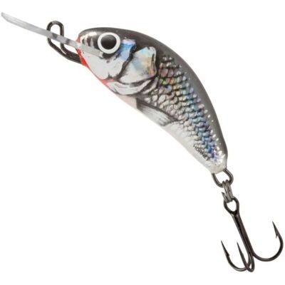 Salmo Hornet SNK 2,6g - Leurres Coulants pour Grandes Profondeurs - Publicité Salmo Hornet SNK 2,6g - Leurres Coulants pour Grandes Profondeurs - Publicité