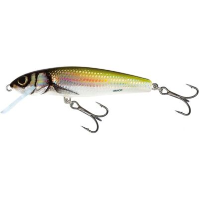 Salmo Minnow Coulant 7cm - Holo Bleak - Leurres - Publicité Salmo Minnow Coulant 7cm - Holo Bleak - Leurres - Publicité