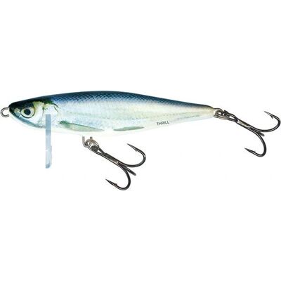 Salmo Modell 5cm 6,5g Real Bleak - Angelköder Salmo Modell 5cm 6,5g Real Bleak - Angelköder