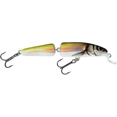 Salmo Fanatic Jointed Minnow - 7 cm Mehrfarbig Lockbete Salmo Fanatic Jointed Minnow - 7 cm Mehrfarbig Lockbete