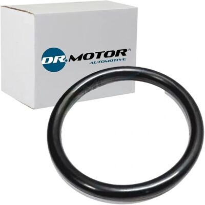 Motorinsugningspackning - Dr.motor Automotive, kompatibel med Renault, Nissan, Dacia Motorinsugningspackning - Dr.motor Automotive, kompatibel med Renault, Nissan, Dacia