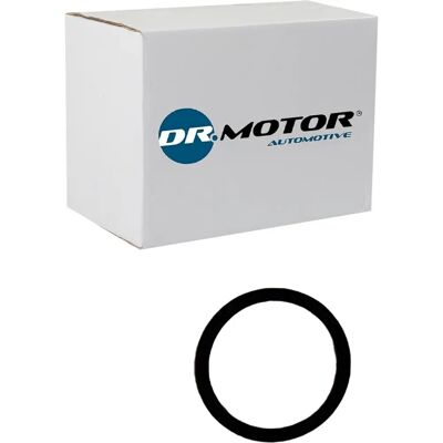 Dr. Motor Lexus IS Toyota Auris Fuel Injector Seal Set Dr. Motor Lexus IS Toyota Auris Fuel Injector Seal Set