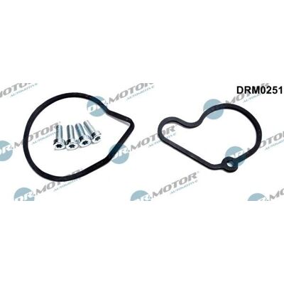 DR.MOTOR AUTOMOTIVE DRM0251 Reparaturset für Vakuumpumpe - Vakuumpumpe Reparatursatz DR.MOTOR AUTOMOTIVE DRM0251 Reparaturset für Vakuumpumpe - Vakuumpumpe Reparatursatz
