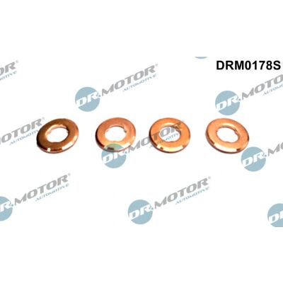 Dr. Motor Injector Seal Kit - Citroën C5 C6 Jaguar Dr. Motor Injector Seal Kit - Citroën C5 C6 Jaguar