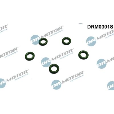 Dr.Motor Citroën Leaking Fuel Cap - 5 pcs Dr.Motor Citroën Leaking Fuel Cap - 5 pcs