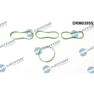 Dr.motor Automotive DRM0395S Dichtungssatz Ansaugkrümmer Dr.motor Automotive DRM0395S Dichtungssatz Ansaugkrümmer