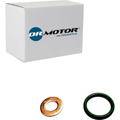 Dr. Motor Dichtsatz für Nissan Almera & Cabstar - Einspritzdüse Dr. Motor Dichtsatz für Nissan Almera & Cabstar - Einspritzdüse