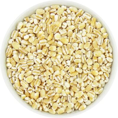 Bio Planet Bio-Hafergrütze - 25kg - Für HORECA geeignet Bio Planet Bio-Hafergrütze - 25kg - Für HORECA geeignet