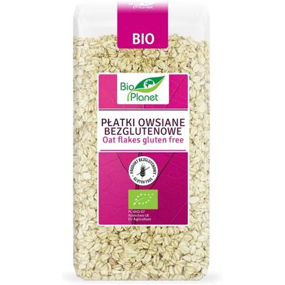 BIO PLANET Flocons d'avoine bio sans gluten - 300 g - Publicité BIO PLANET Flocons d'avoine bio sans gluten - 300 g - Publicité