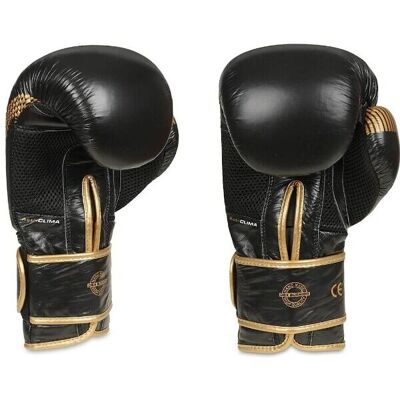 Boxerské rukavice Dbx Bushido B-2v13 - Černá-Zlatá - Bezpečnostní Certifikát Boxerské rukavice Dbx Bushido B-2v13 - Černá-Zlatá - Bezpečnostní Certifikát