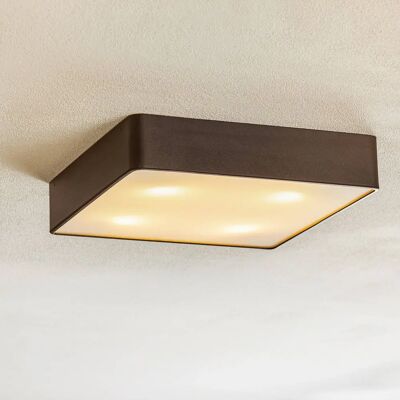 Euluna Schwarzes Stahl-Glas-Deckenleuchte - Deckenlampe Euluna Schwarzes Stahl-Glas-Deckenleuchte - Deckenlampe