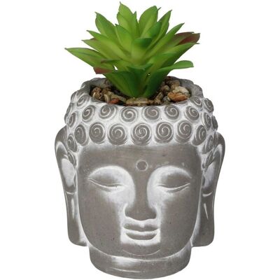 Generic - Succulent III Buddha - 10x10x17 cm - Roślina ozdobna Generic - Succulent III Buddha - 10x10x17 cm - Roślina ozdobna