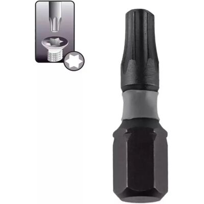 Dedra 18A53T200-10 Schrauberbits - 10 pcs Dedra 18A53T200-10 Schrauberbits - 10 pcs