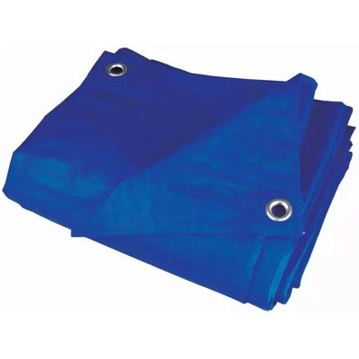 Dedra N05045 Bâche bleue - Tarpaulin - Publicité Dedra N05045 Bâche bleue - Tarpaulin - Publicité