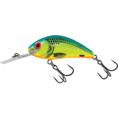 Salmo Hornet 5,5cm Schwimmender Holographischer Perch - Angelköder Salmo Hornet 5,5cm Schwimmender Holographischer Perch - Angelköder