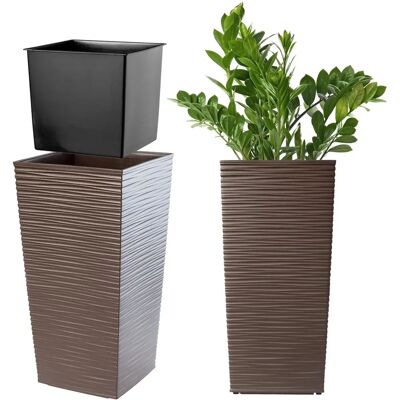 KADAX Blumenampfel Hohe Mocha - Garten/Innenbereich KADAX Blumenampfel Hohe Mocha - Garten/Innenbereich