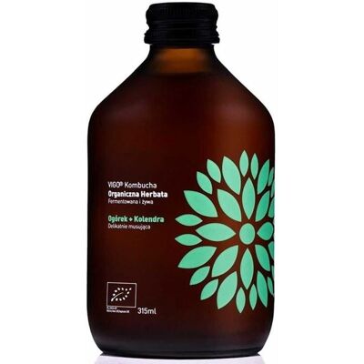 VIGO Organiczne Ogórek + Kolendra Kombucha - Napój VIGO Organiczne Ogórek + Kolendra Kombucha - Napój