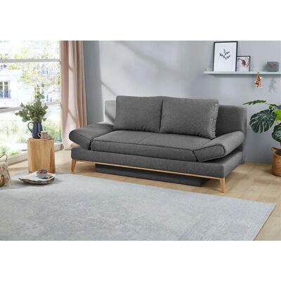 JOCKENHÖFER GRUPPE Yann Schlafsofa - 2-Sitzer, Grau, mit Stauraum JOCKENHÖFER GRUPPE Yann Schlafsofa - 2-Sitzer, Grau, mit Stauraum