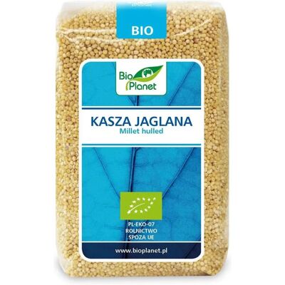 Bio Planet Millet Sans Gluten Biologique 500g - Céréale - Publicité Bio Planet Millet Sans Gluten Biologique 500g - Céréale - Publicité